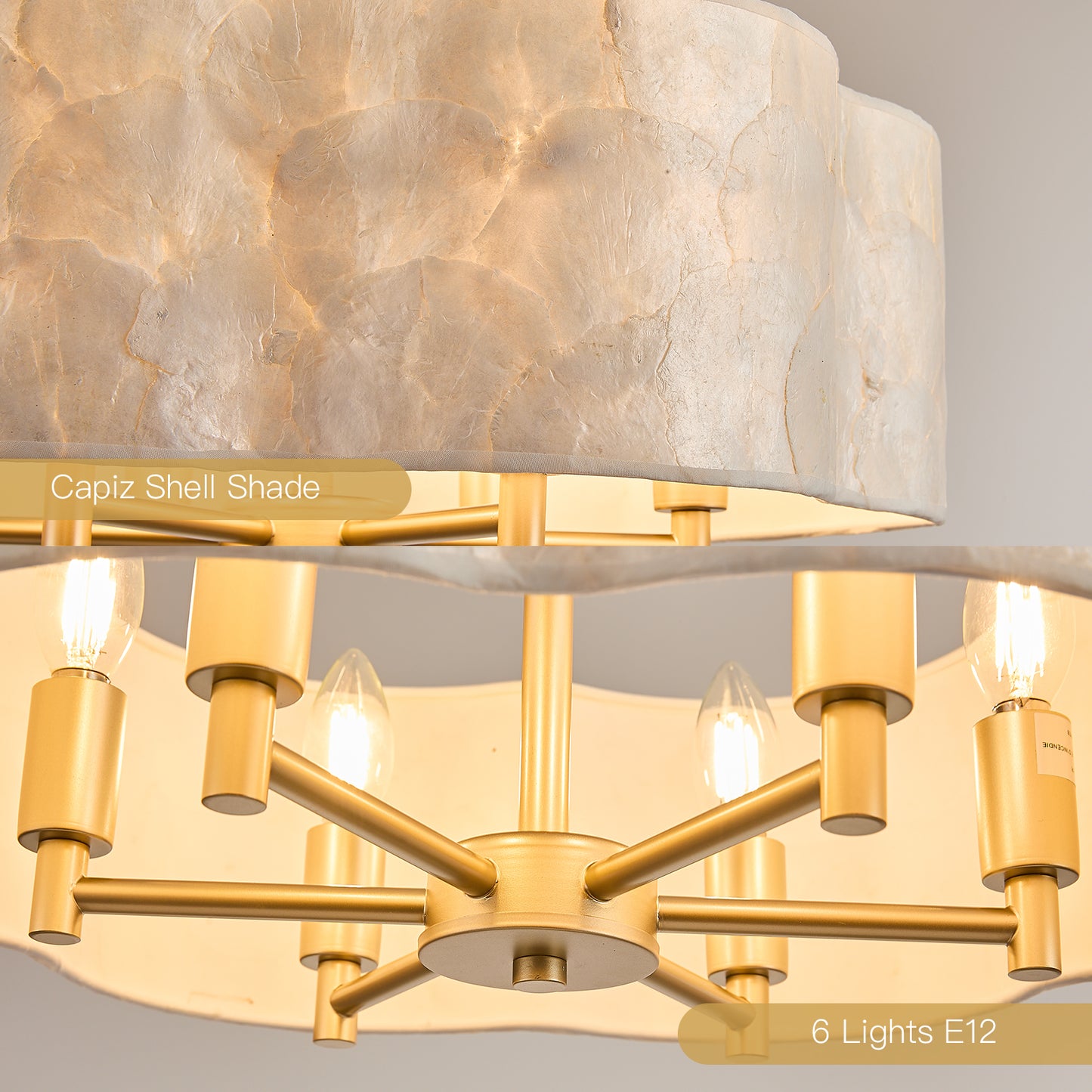19.7" Flower Capiz Shell Chandelier | 6-Light Coastal Seashell Pendant Light with Adjustable Stem