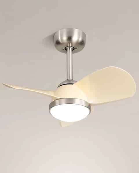 Ceiling Fans