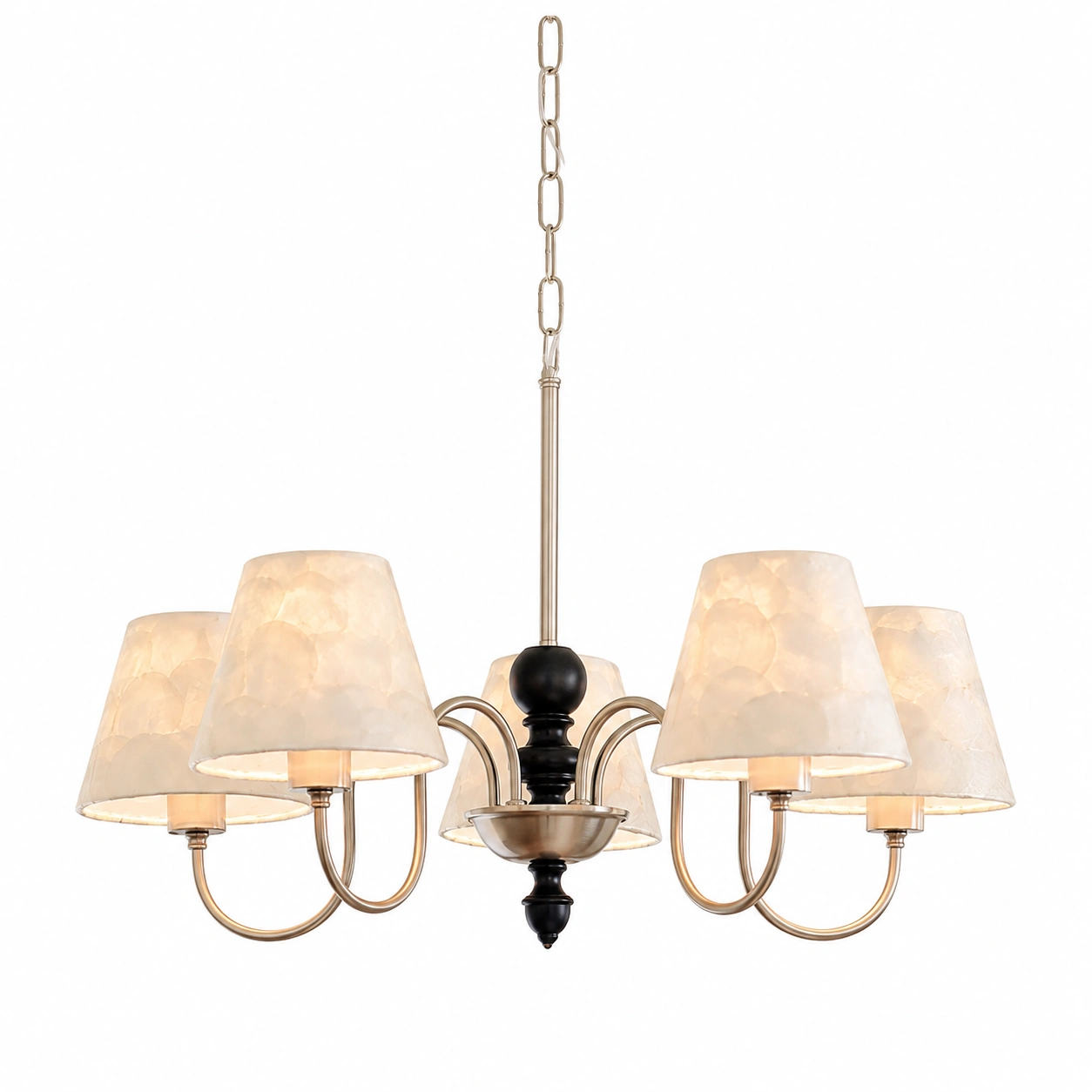 Transitional Capiz Shell Chandelier with Black Accent | 5 & 8 Light